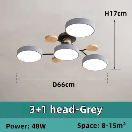 Luminaire Élégant : Plafonnier Design Nordique IL582734-ILLUMEEN.COM