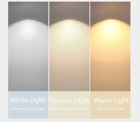 Luminaire Tricolore Chic : Lampe de Table LED Moderne IL582974-ILLUMEEN.COM